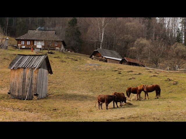 Life in The Mountains. A Large Family Lives Far Away From Civilization at The Edge of The World