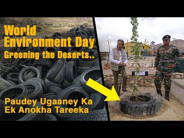 World Environment Day | Innovative ways of greening  Deserts | Sonam Wangchuk Ladakh