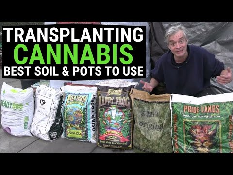 Cannabis Best Bagged Soil & Container Size for Maximum Growth