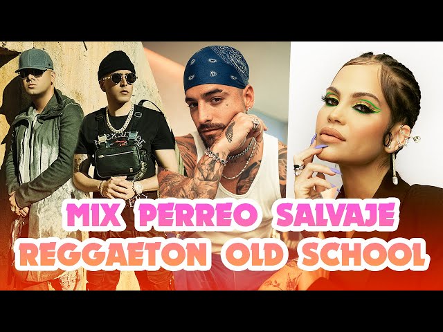 Mix Perreo Salvaje - Reggaeton Old School 2023