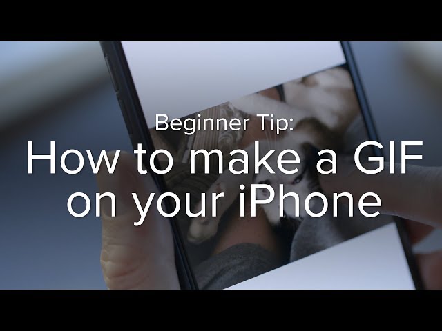 How to make a GIF on your iPhone