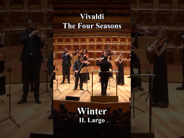 Vivaldi | The Four Seasons: Winter | #classicalmusic #orchestra