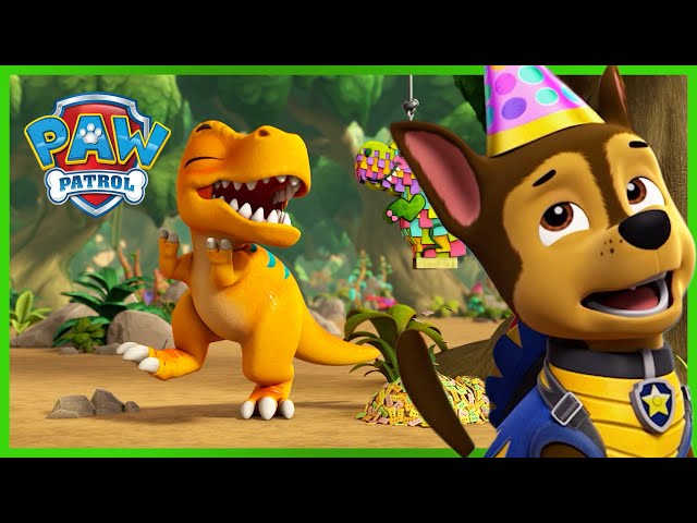 Pups Save a Tyrannosaurus’ Birthday and MORE! | PAW Patrol | Cartoons for Kids