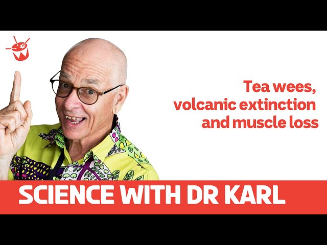 Tea wees, volcanic extinction and muscle loss | Science With Dr Karl