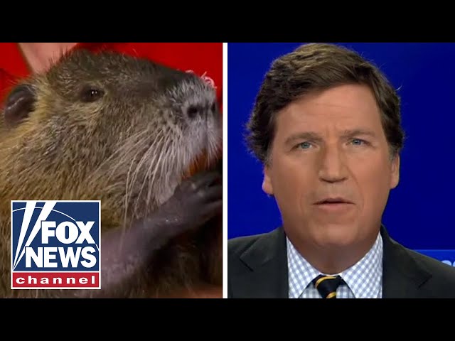 Tucker says hello to beloved rodent couple fought the state to keep