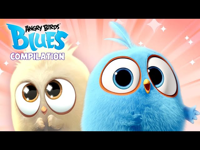 Angry Birds Blues | Ep. 11 to 15