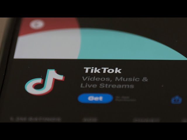TikTok fights to stay online in the U.S. amid ban vote
