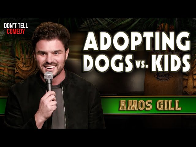 Adopting Dogs vs. Kids | Amos Gill | Stand Up Comedy