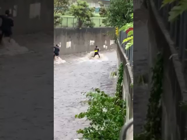 RAW: Firefighters rescue 5 boys from fast-moving floodwaters in Palolo Stream