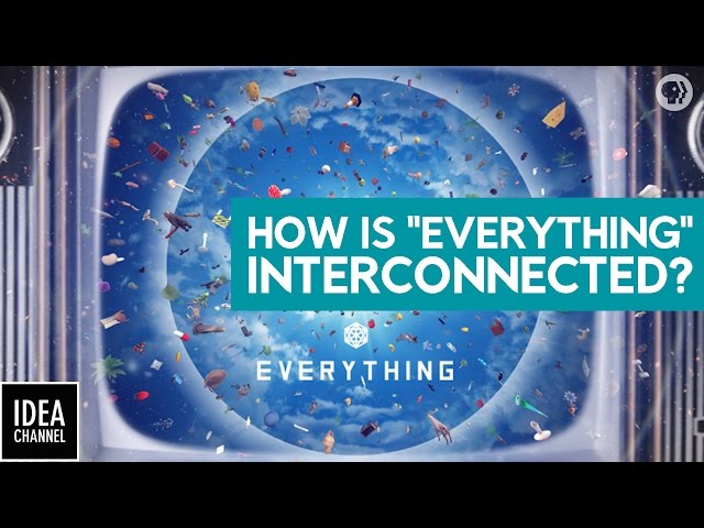 How Is Everything Interconnected?