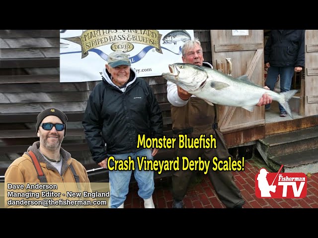 October 6, 2022  New England Video Fishing Forecast with Dave Anderson