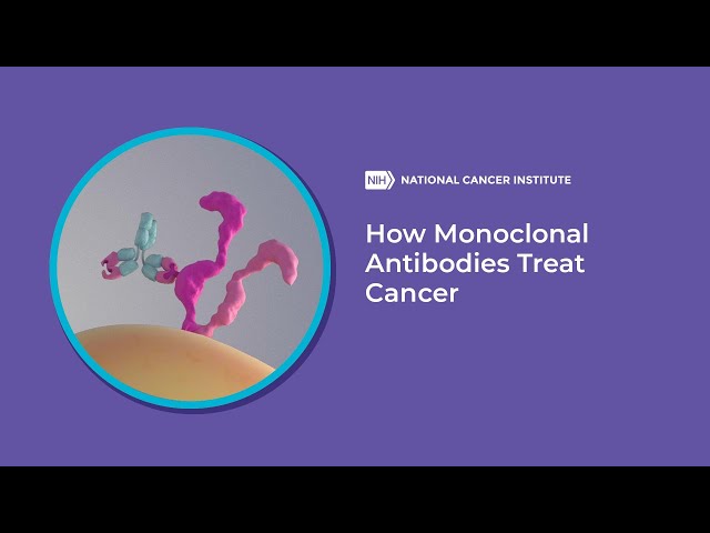 How Monoclonal Antibodies Treat Cancer