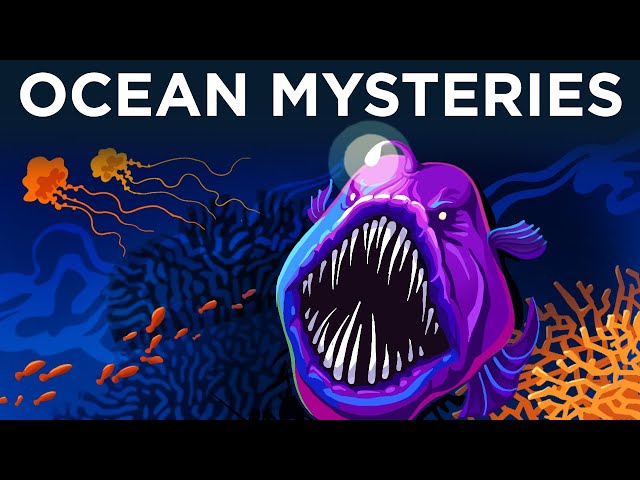 Mysteries from the Bottom of the Ocean