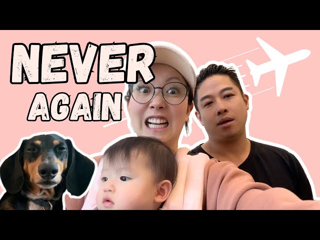 Flying with a dog and baby at the same time was a bad idea ✈️