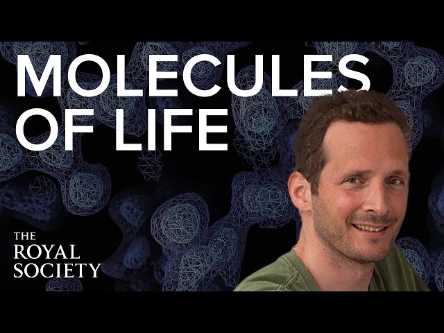 Proteins in 3D | The Royal Society