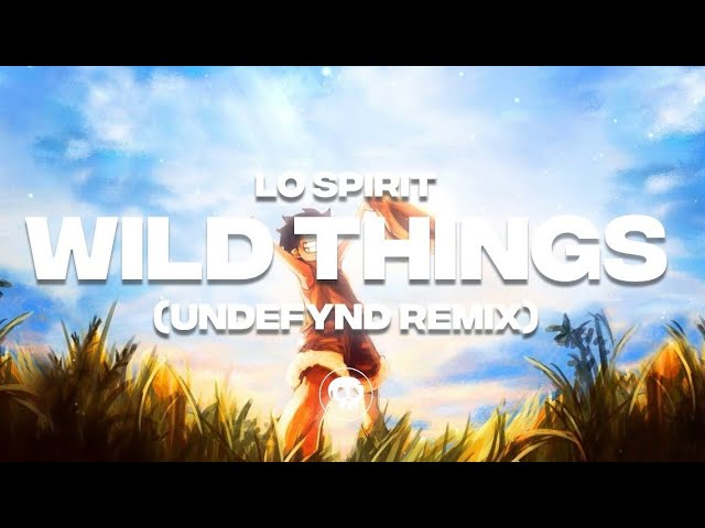 Lø Spirit - Wild Things (UNDEFYND Remix)