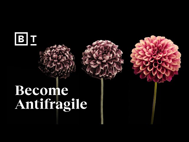 Don’t chase happiness. Become antifragile | Tal Ben-Shahar | Big Think