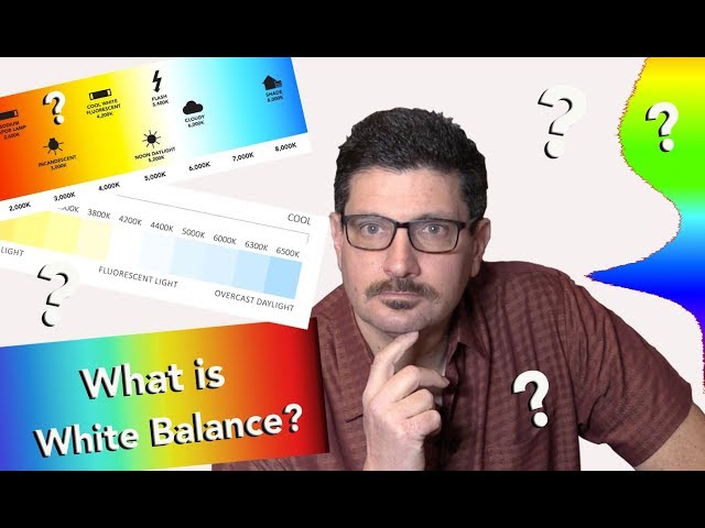Camera White Balance Explained | Correctly Balance Your Camera  Color