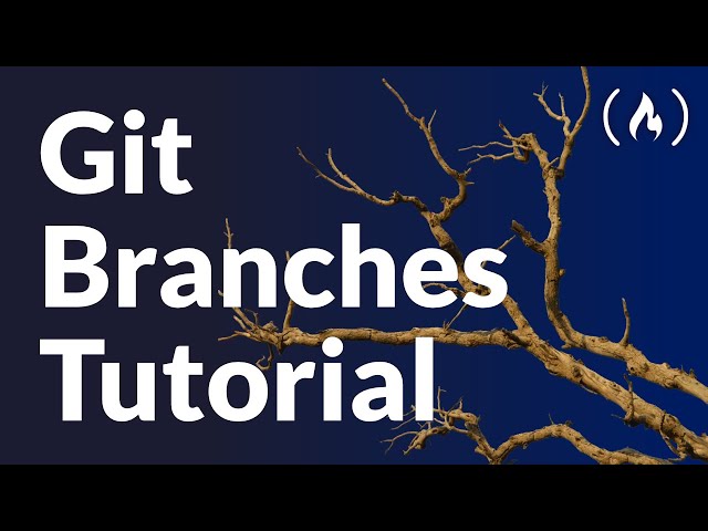 Git Branches Tutorial