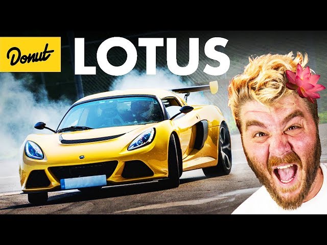 LOTUS - Everything You Need to Know | Up To Speed