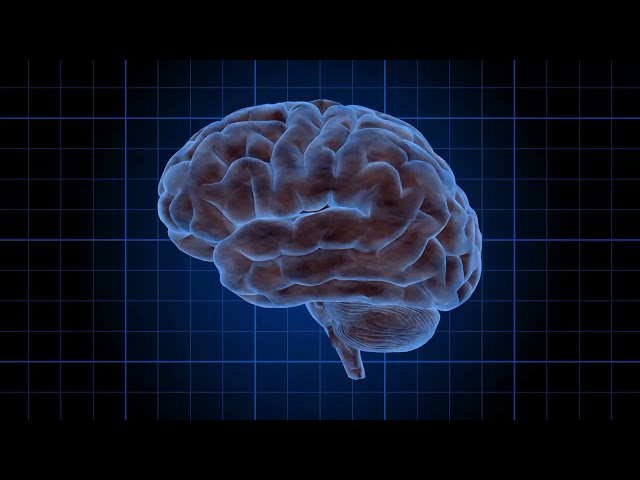 Most Amazing Psychology Facts About Human Brain।आपके दिमाग के बारे में तथ्य। #brain #brainfacts