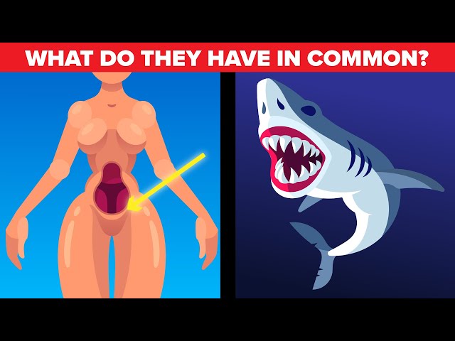 Weird Facts About Female Body