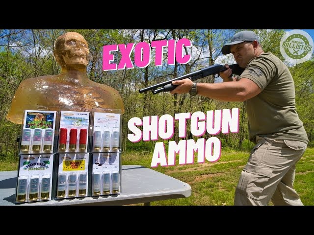 Exotic Shotgun Ammo (Gimmick Or Legitimate ???)