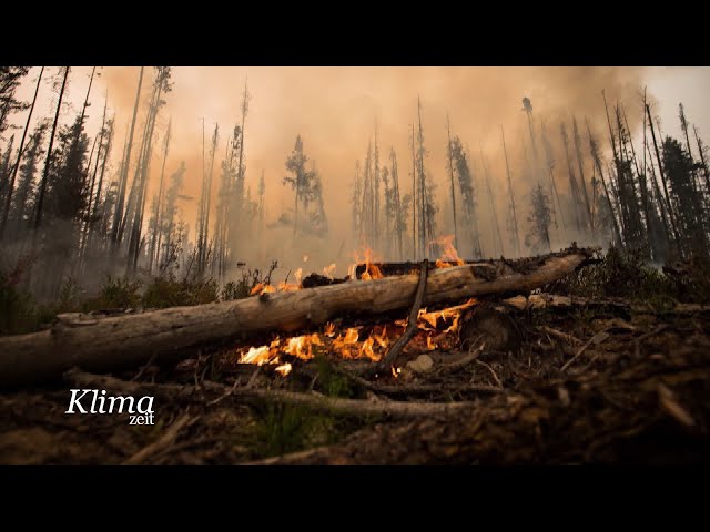 Wie Waldbrände und Klimawandel zusammenhängen | KlimaZeit