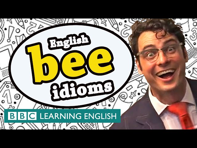 Bee idioms - Learn English idioms with The Teacher