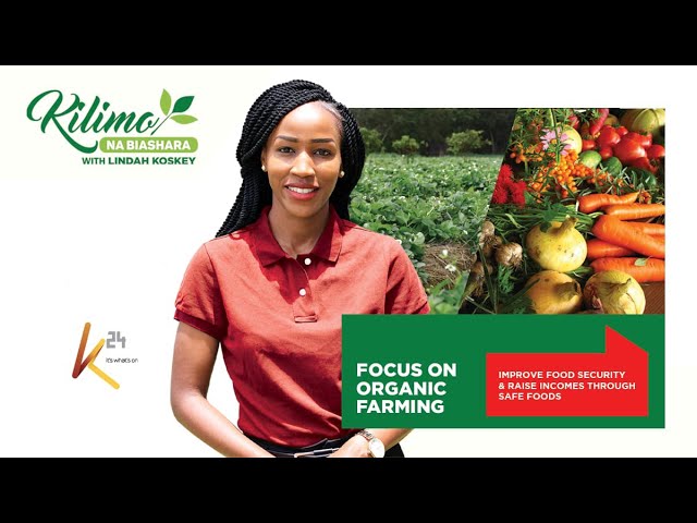 Unlock the Power of Organic Farming! | Kilimo na Biashara