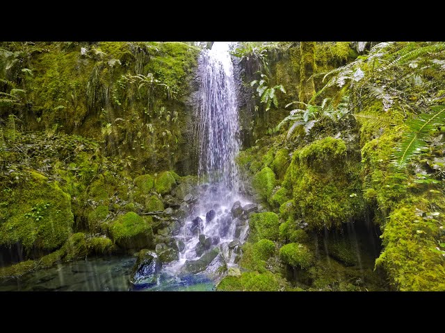 Raining Sounds by Tropical Waterfall with Distant Thunder | White Noise for Sleep