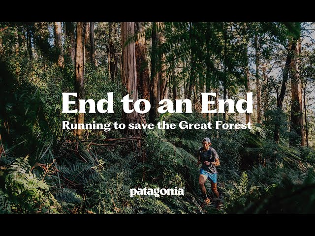 End to an End Trailer | Running to save the Great Forest