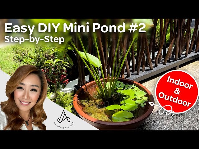 EASY DIY Mini Patio Pond for Indoor & Outdoor -  Step-by-Step Low Cost Low Tech NO FILTER!