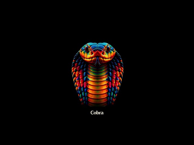 Freestyle Boom Bap Beat HipHop instrumental 2024 "Cobra"