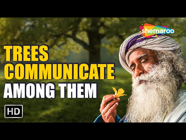 Why Planting Trees in Farms Is Better Than Planting Trees At Home - Sadhguru