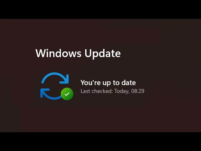Try this to Install Windows Updates Faster