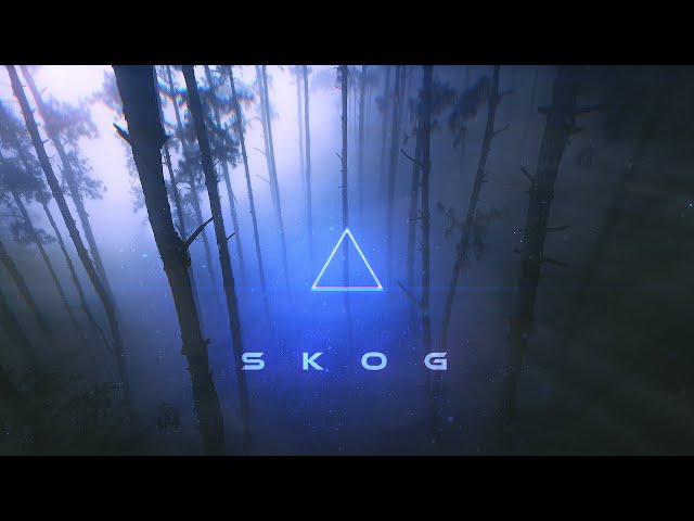 Skog - An Enchanting Ambient Fantasy Journey - Mystical Ancient Ambient Fantasy Music