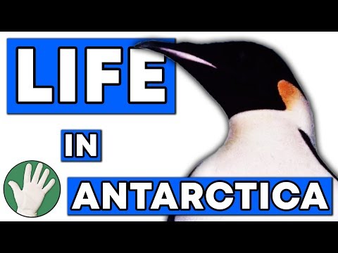 Antarctica on Objectivity