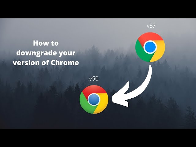 How to downgrade your version of Chrome