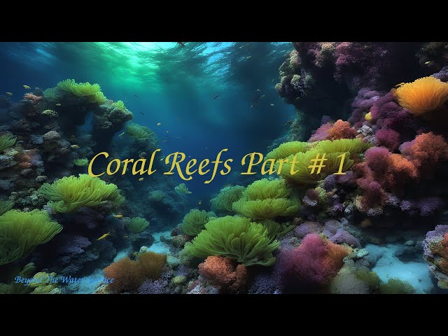 Coral Reefs Part # 1