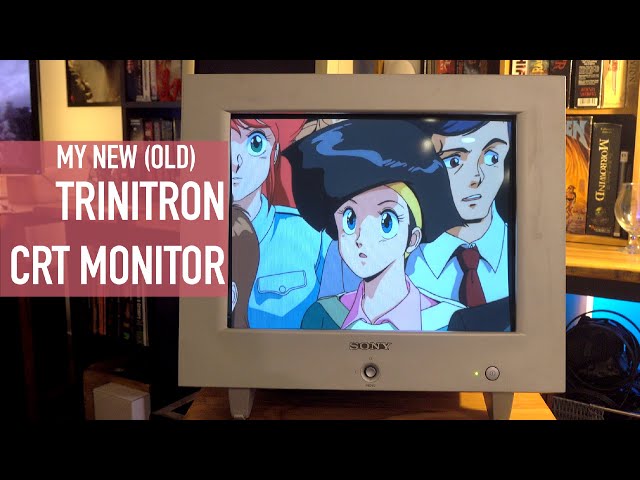 Sony Trinitron CRT Monitors Are Still Beautiful (Picked Up a 19" HMD-A400/L Monitor)