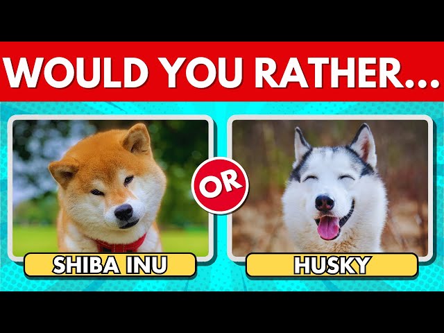 Would You Rather...? DOGS Edition 🐶