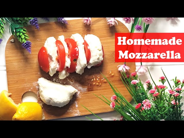 How to make Mozzarella Cheese at home with only 3 Ingredients || Easiest Mozzarella Recipe
