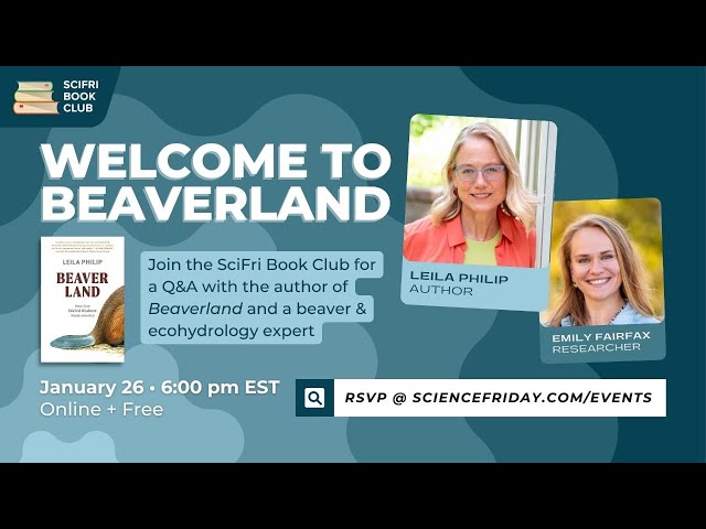 Welcome to Beaverland: #SciFriBookClub Author & Reseacher Q&A