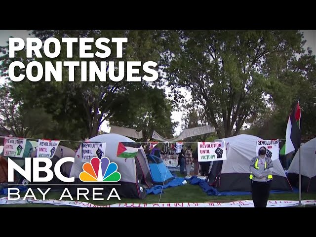 Pro-Palestine demonstrators continue to protest at Stanford