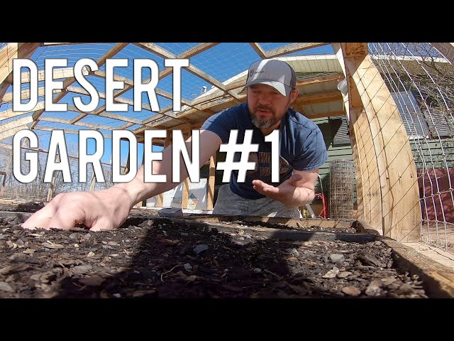 Desert Garden #1
