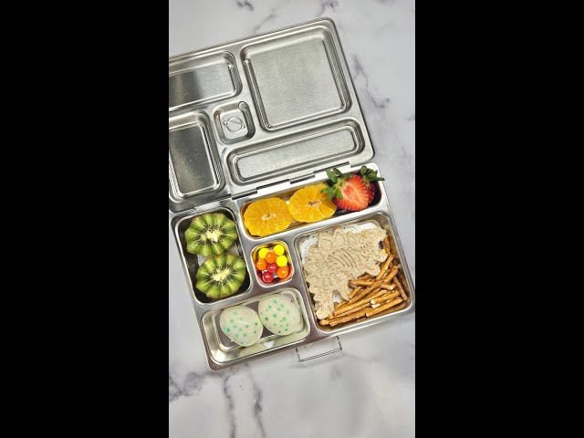 Dino Themed Lunchbox