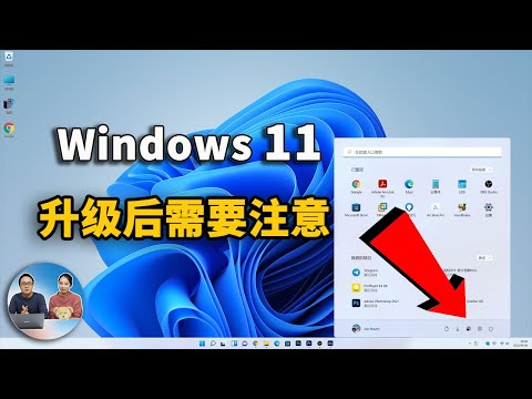 Windows 11 教程