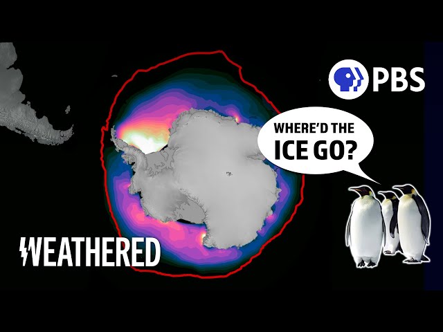 Was This Really a 1 in 700,000,000,000 Year Event?! - Antarctic sea ice melting fast