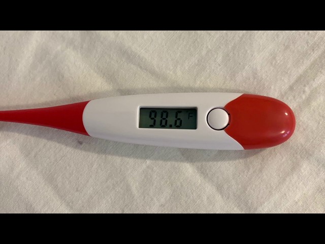 How to Take Your Temperature | Prenatal Care